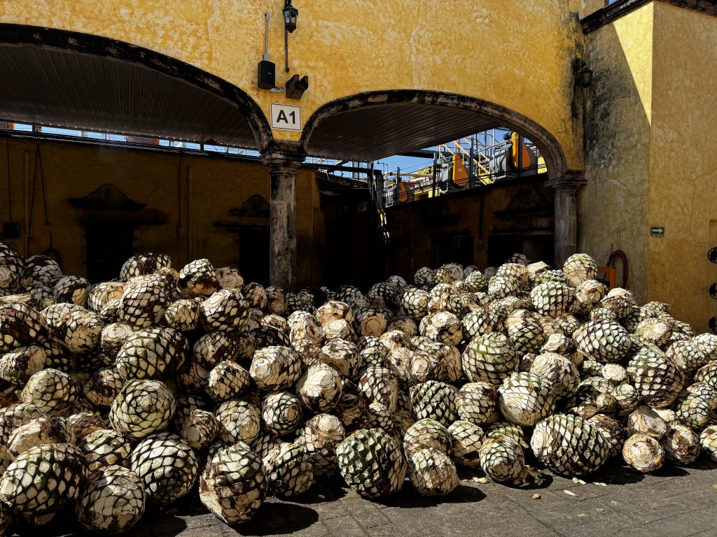 Jose Cuervo Tequila