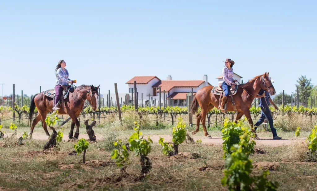 HORSEBACK RIDING IN VALLE DE GAUDELUPE