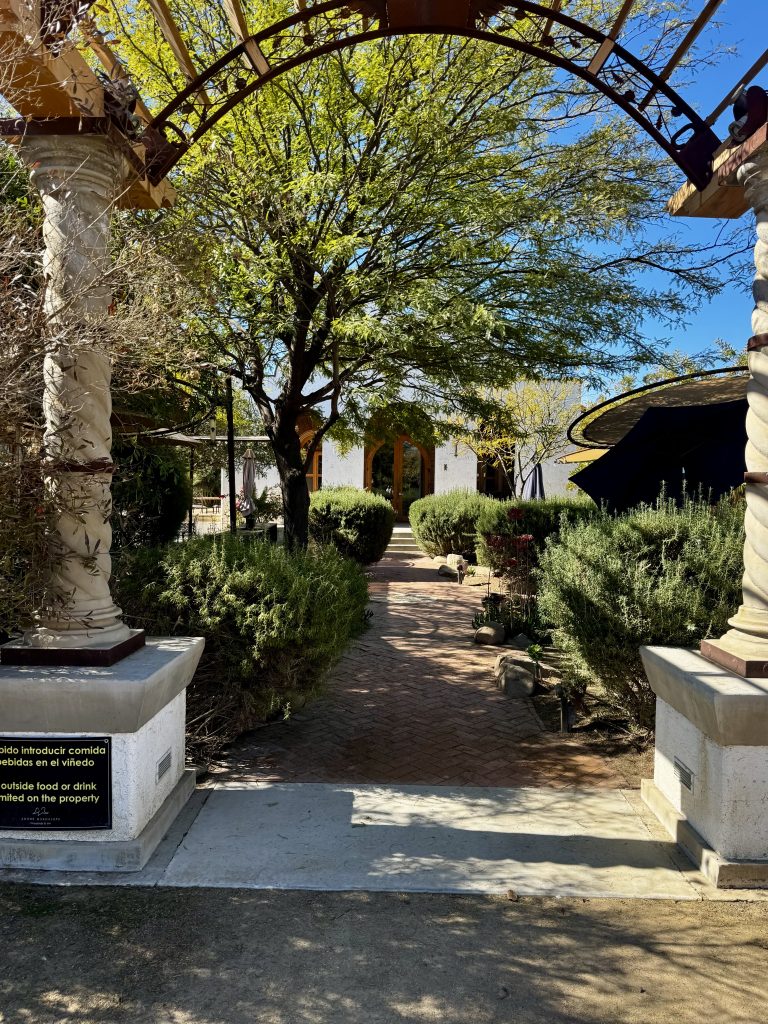 Vinícola Adobe Guadalupe