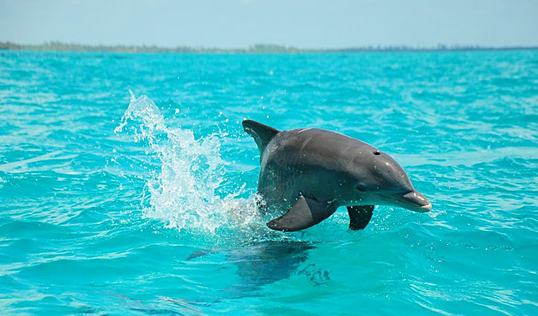 SIAN KA’AN BIOSPHERE RESERVE