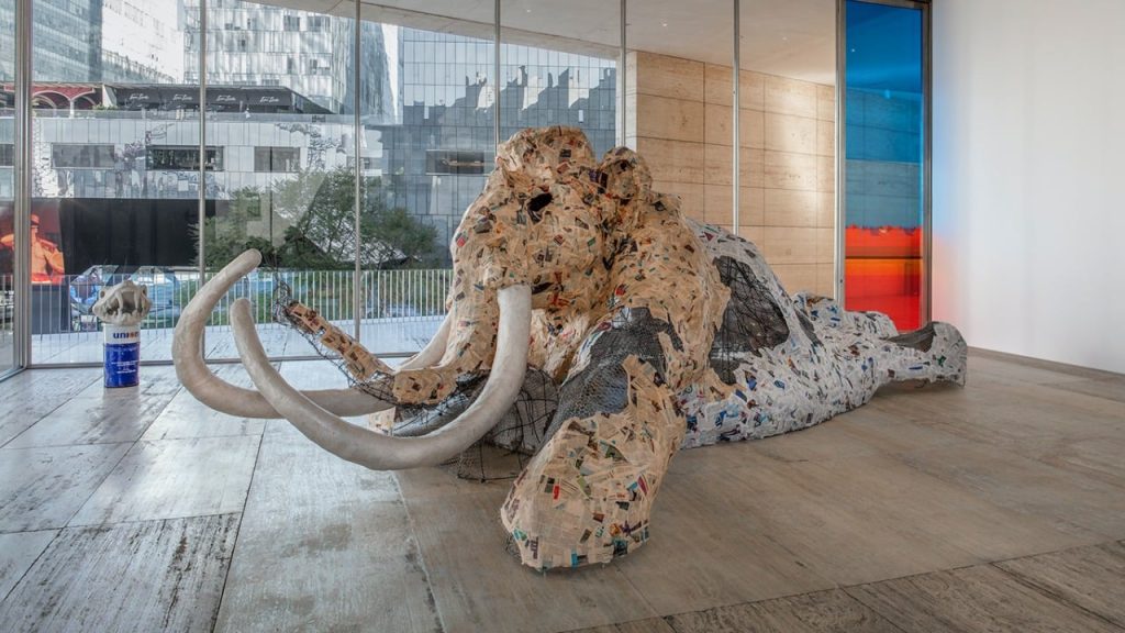 Museo Jumex (Colección Jumex)