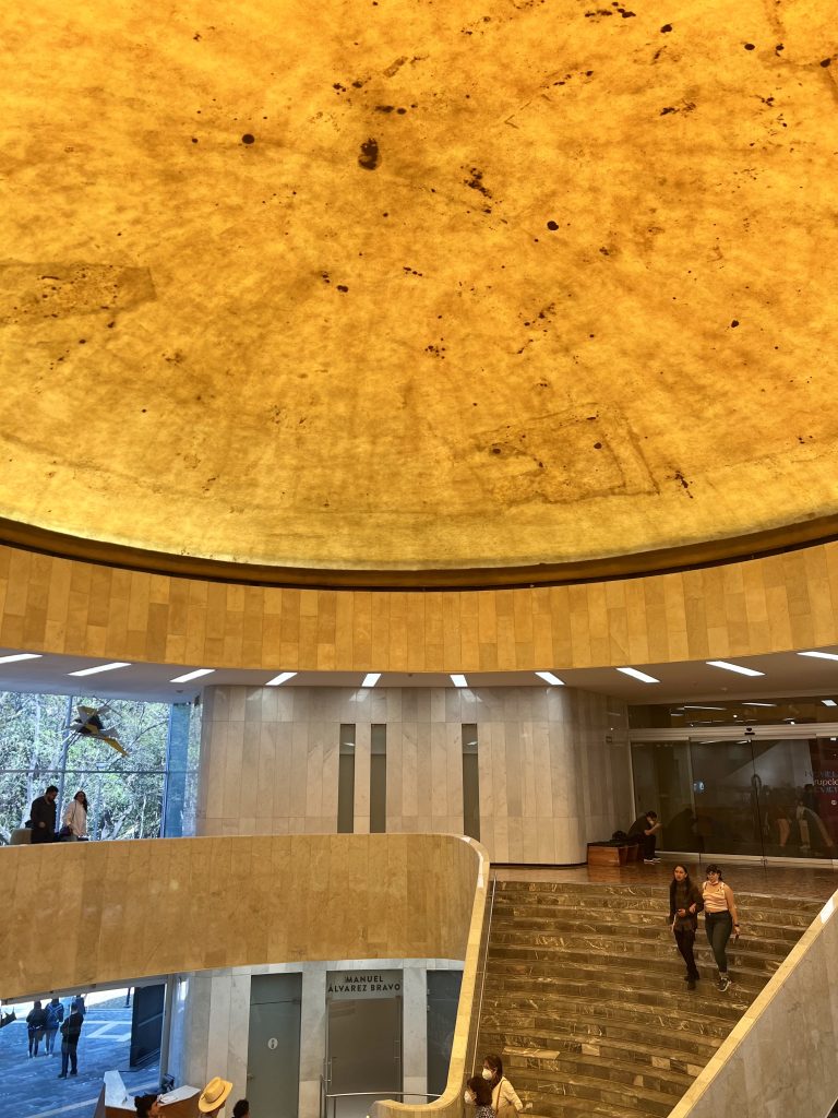 MUSEO ARTE MODERNO